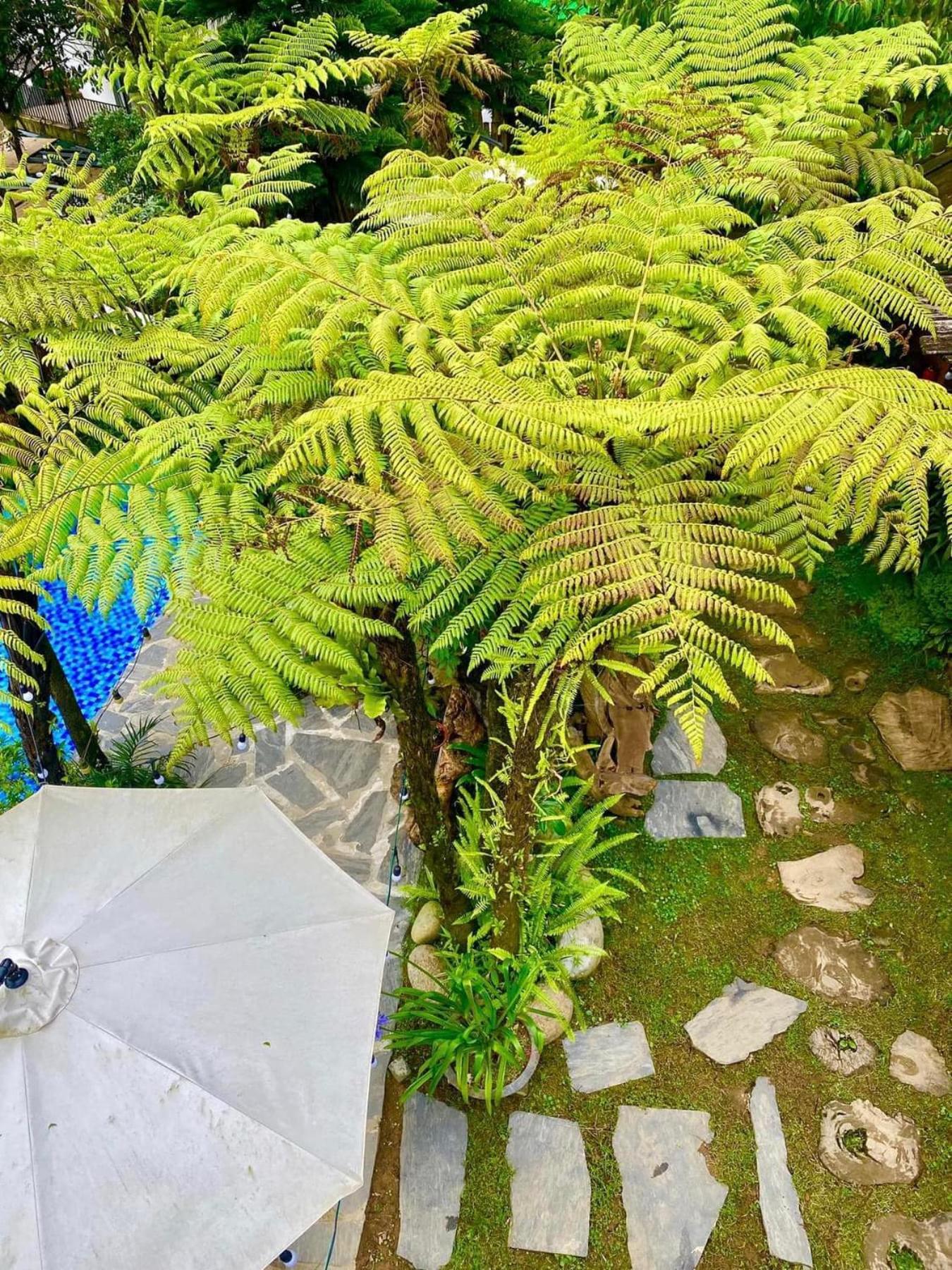 Love House Homestay Sapa Exterior foto